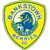 坎特贝利班克斯敦FC